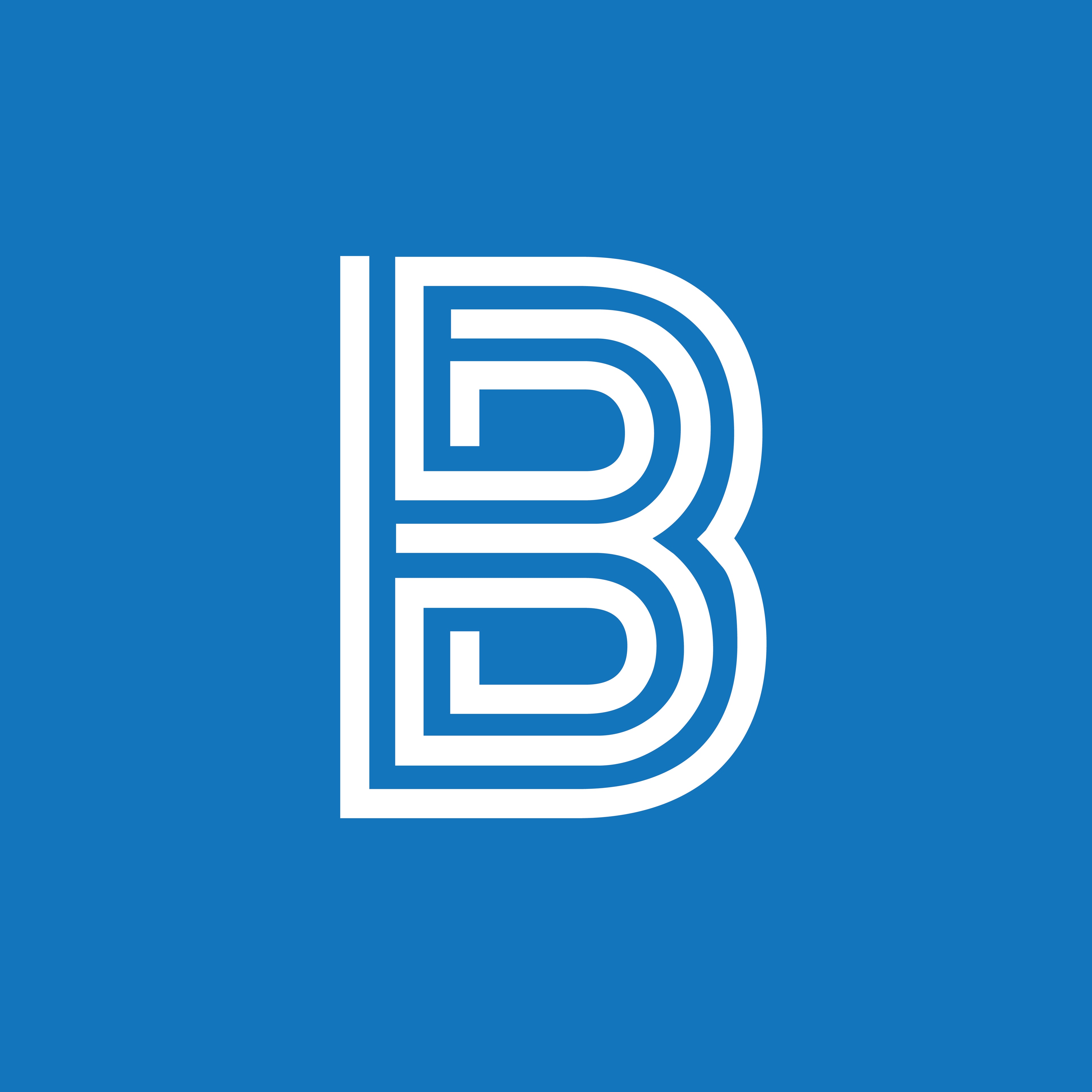 Berni Consulting logo