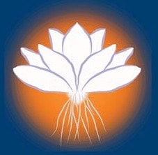 Higher Purpose L3C logo