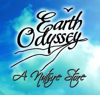Earth Odyssey logo