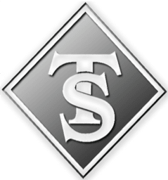 TREO Staffing, LLC logo