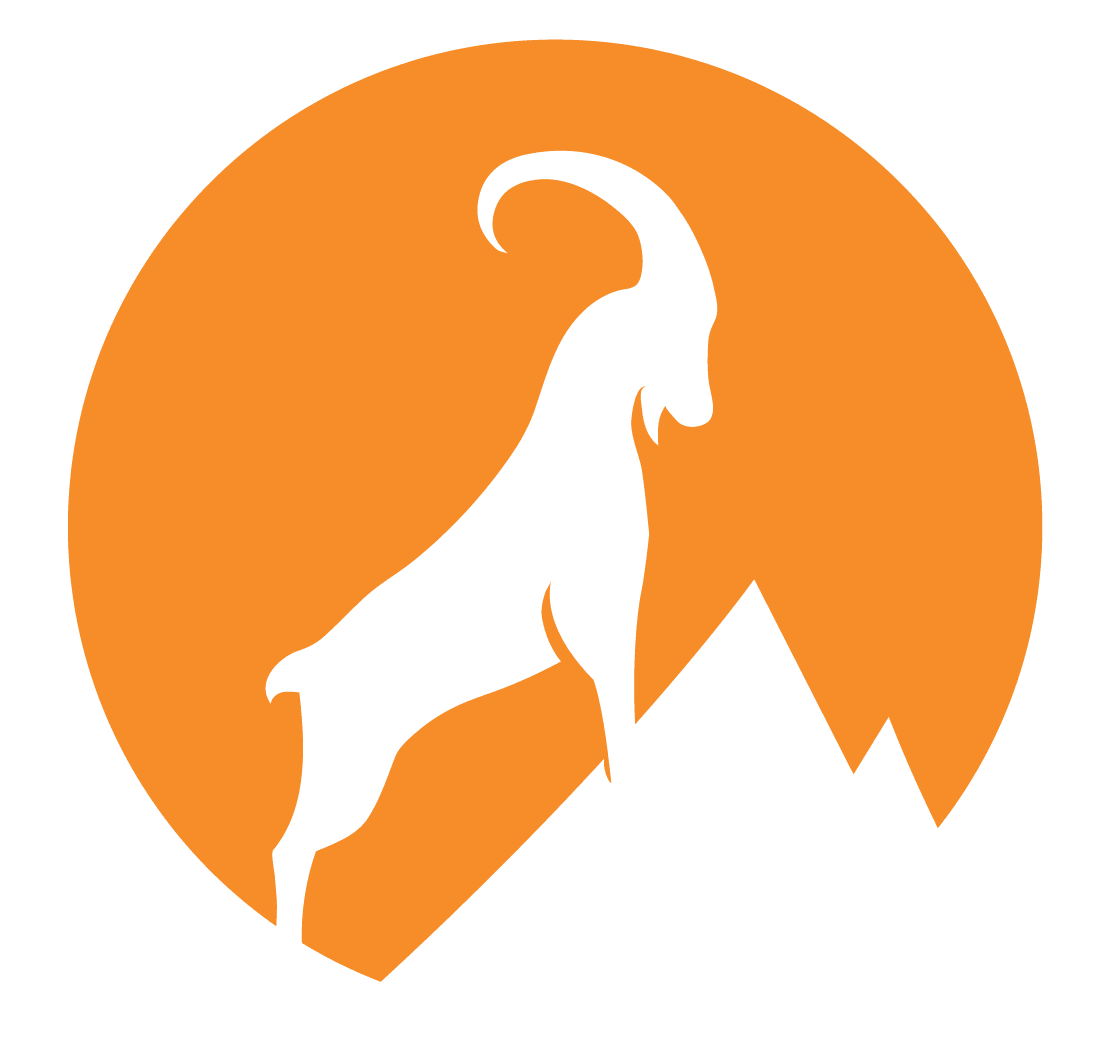 Bellwether Technology logo