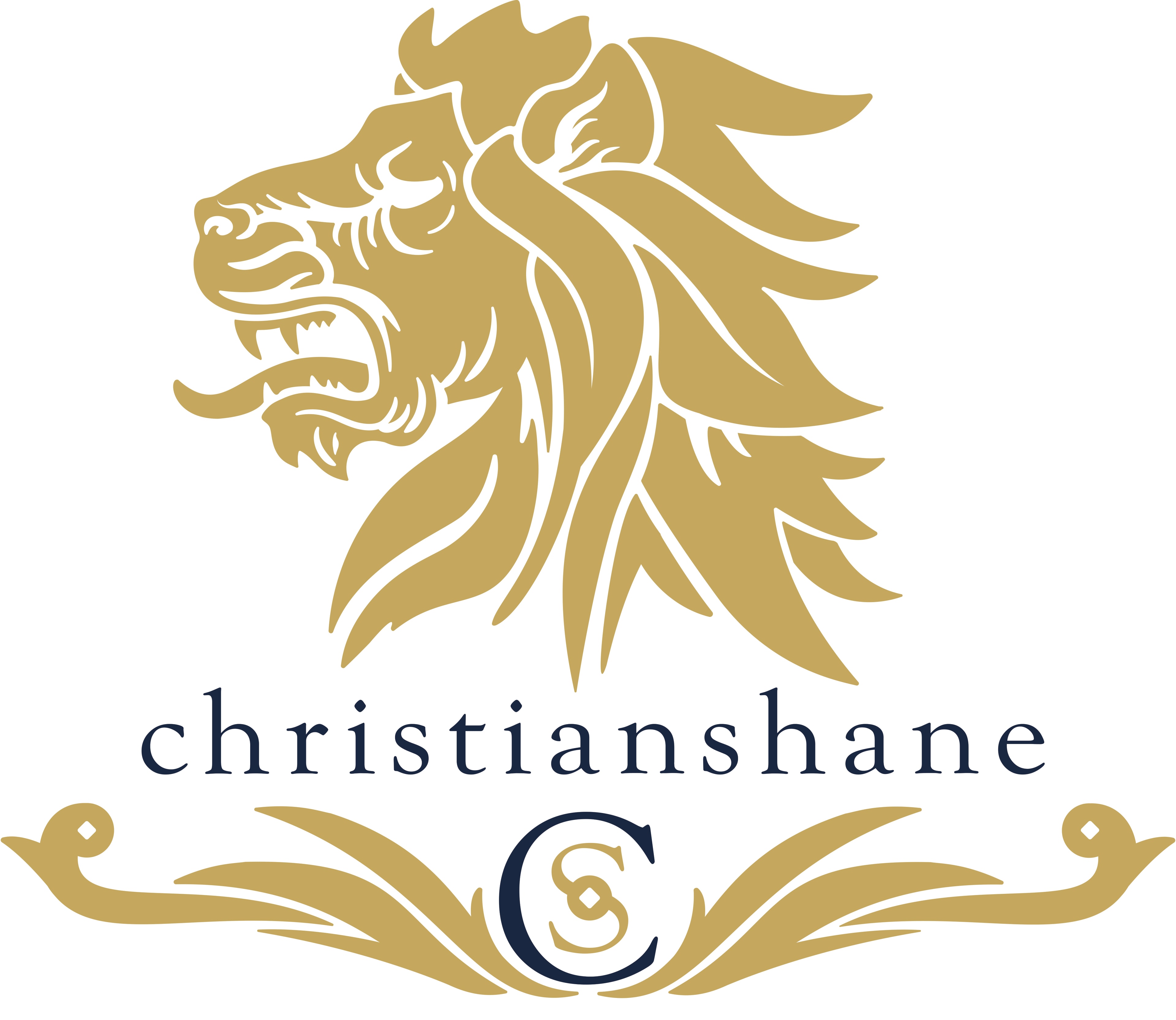 Christian Shane, LLC logo