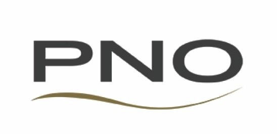 Pelican New Orleans logo