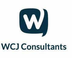 WCJ Consultants, LLC logo