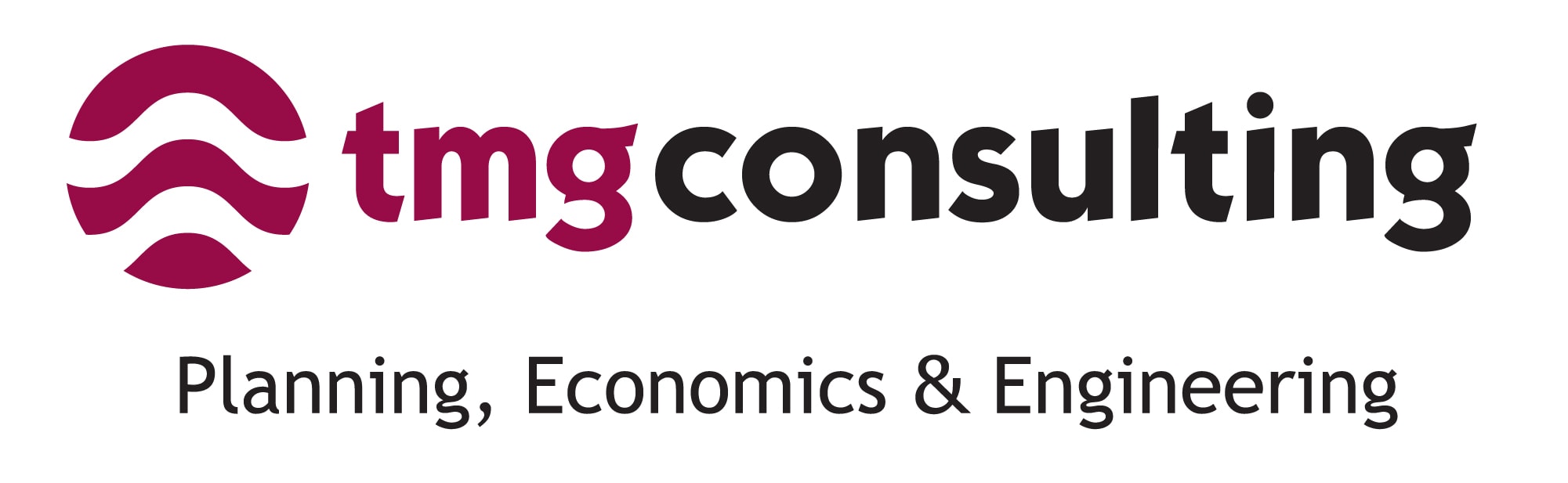 TMG Consulting logo