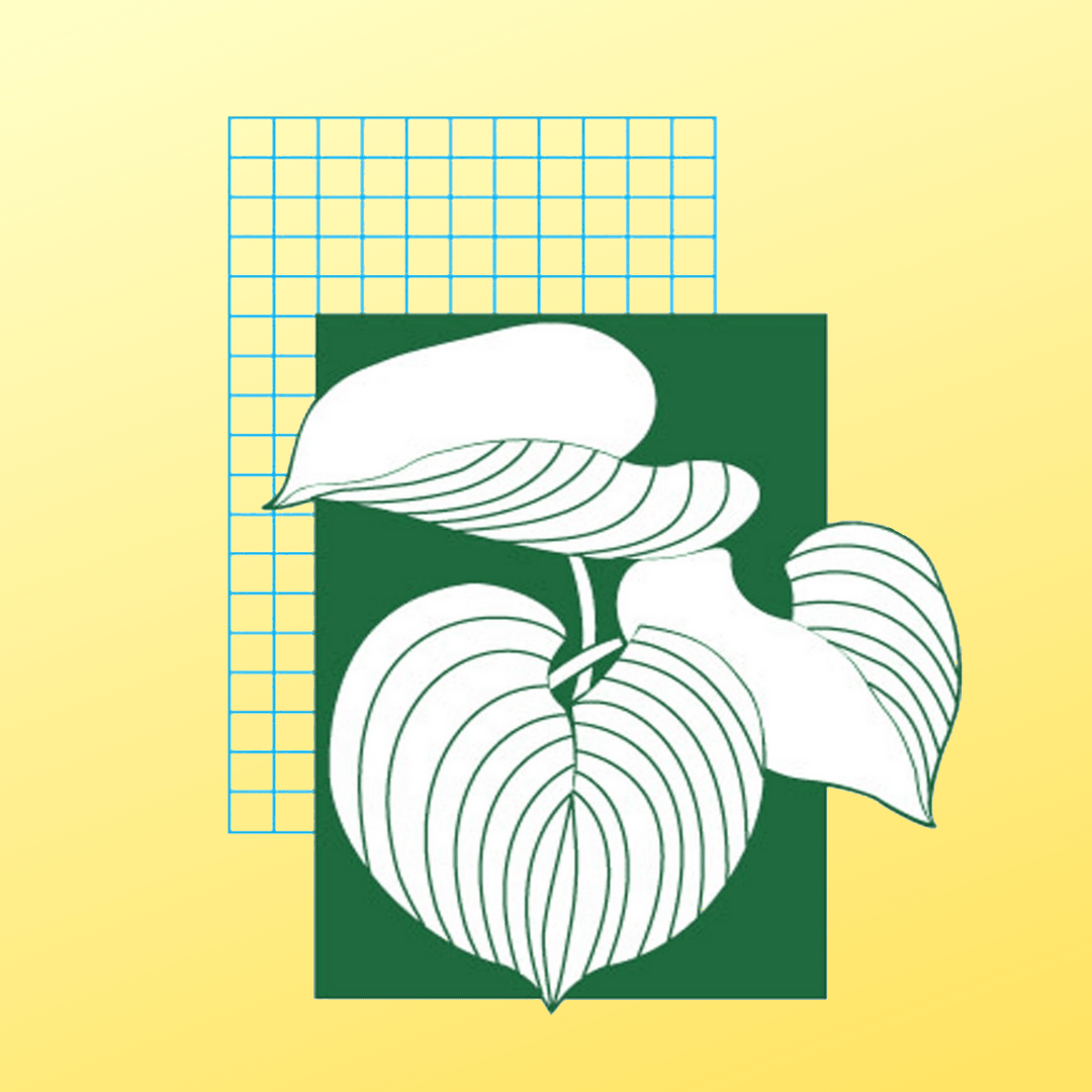 Landscape Images, LTD. logo