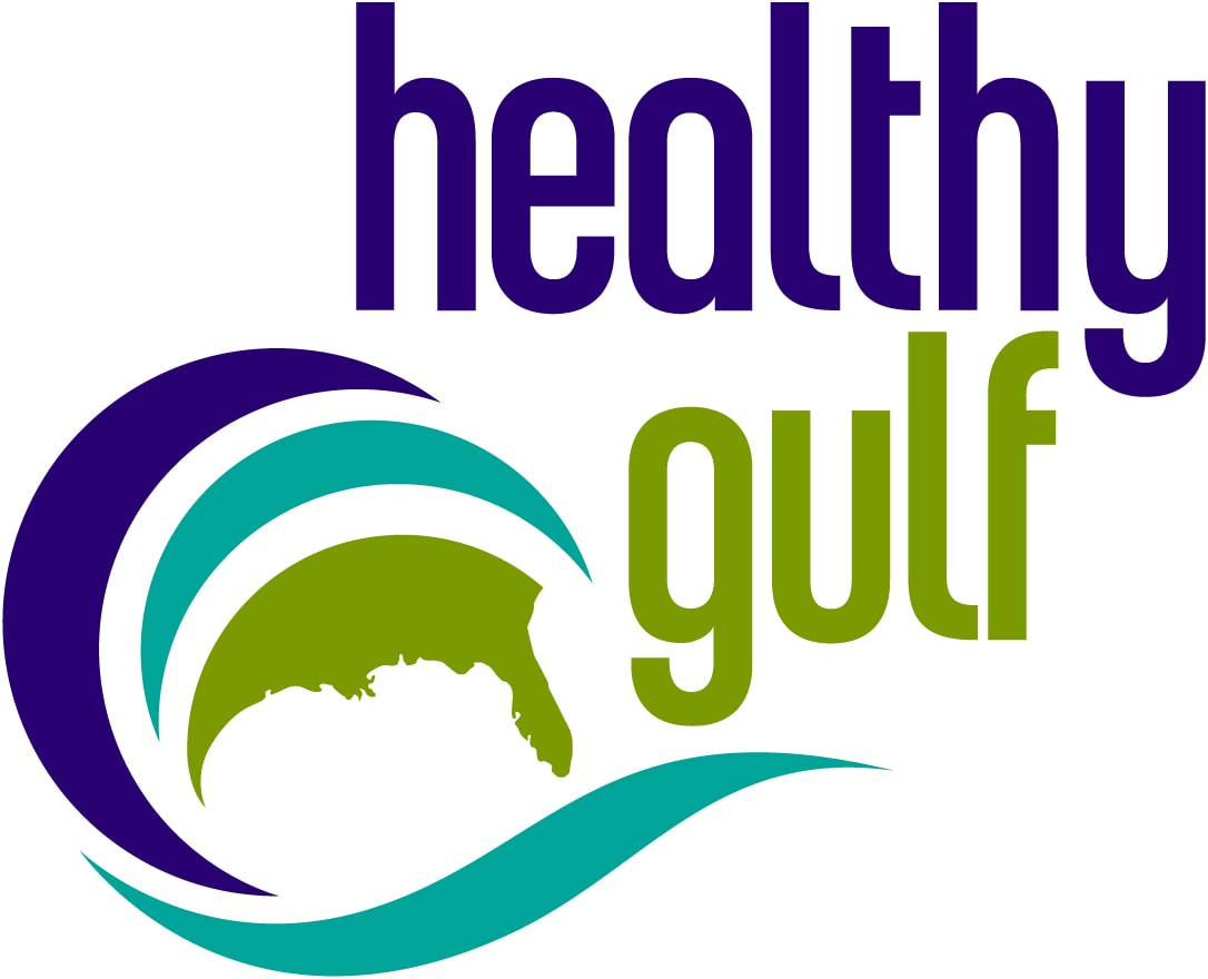 Healthy Gulf (formerly Gulf Restoration Network) logo