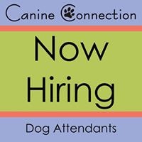 Canine Connection logo