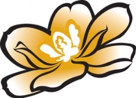 Magnolia Hawaii logo