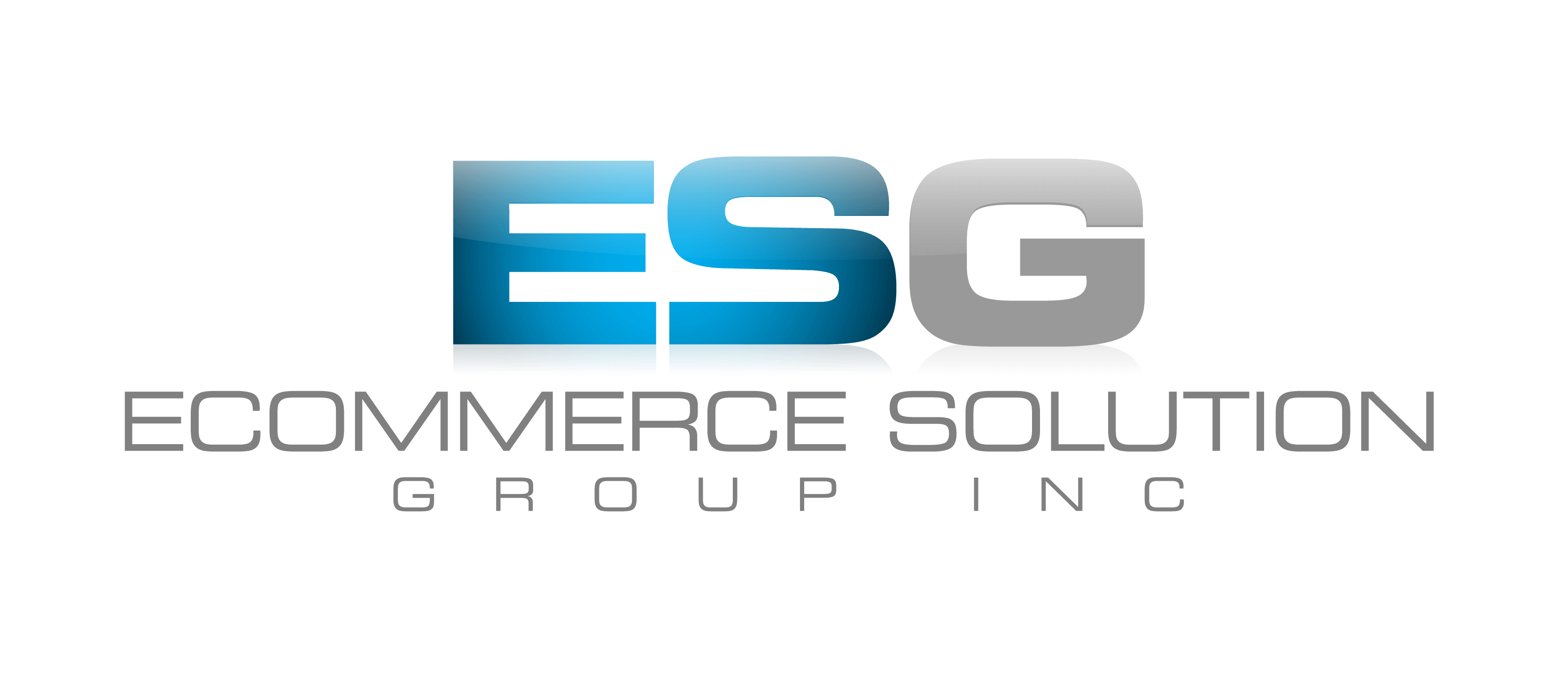 Ecommerce Solution Group Inc logo